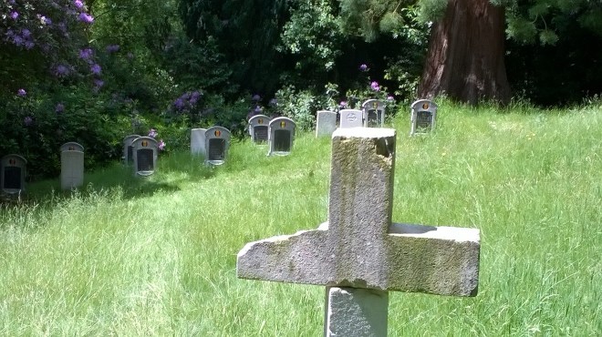 WP_20180602_12_25_09_Pro