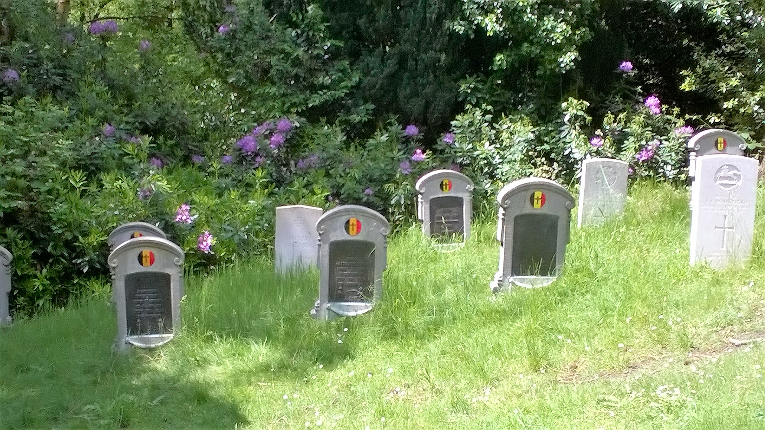 WP_20180602_12_25_24_Pro