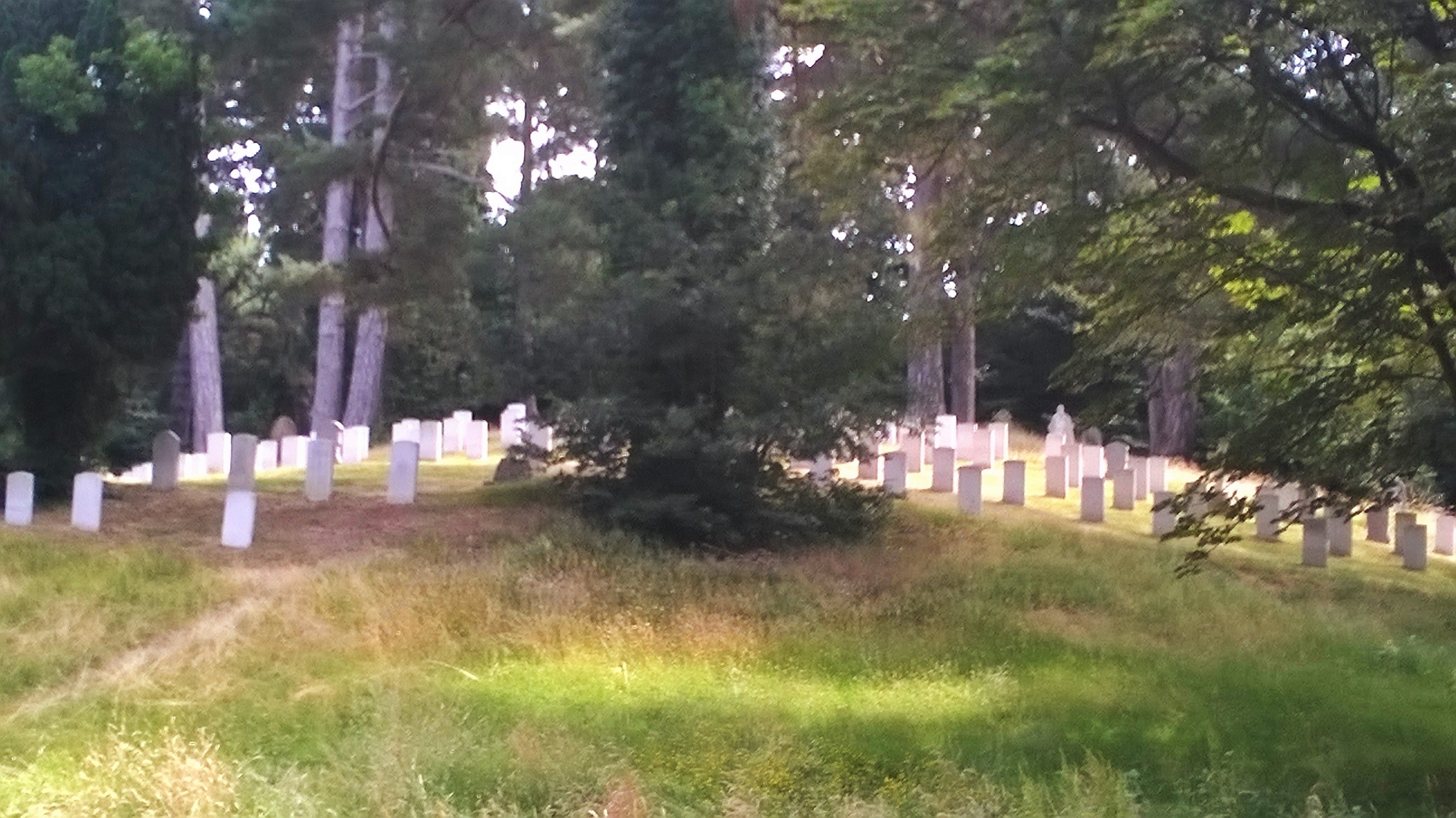 WP_20180701_10_58_27_Pro