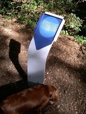 WP_20180801_09_54_30_Pro