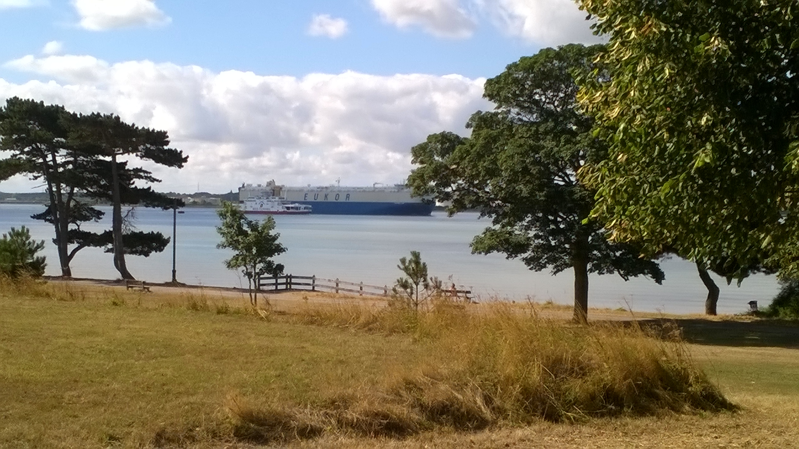 WP_20180801_10_05_57_Pro