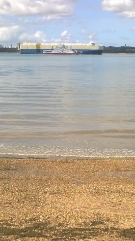 WP_20180801_10_08_07_Pro